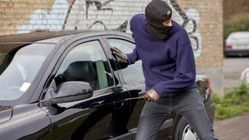 سرقت در قلمستان کمتر از ۲ دقیقه