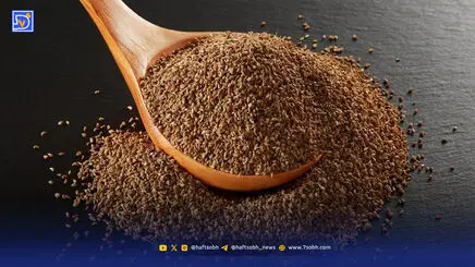از دل درد تا مشکلات پوستی؛ زنیان چه کمکی می کند؟