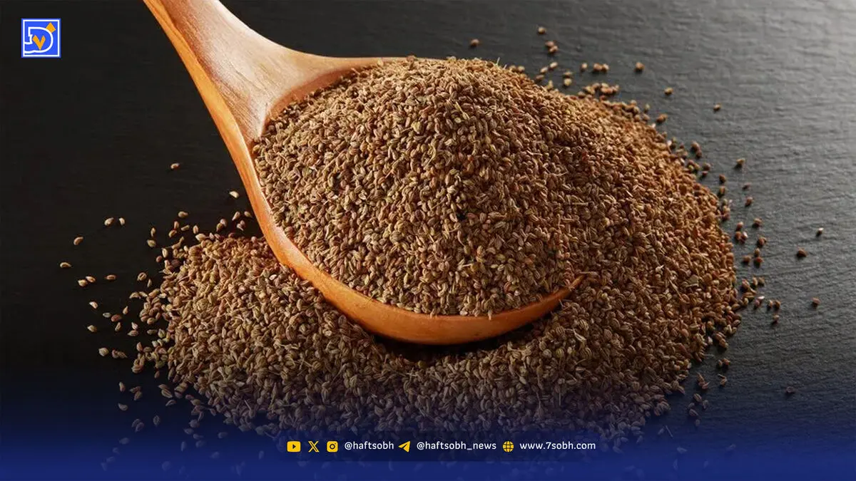 از دل درد تا مشکلات پوستی؛ زنیان چه کمکی می کند؟
