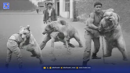 قاب تاریخ| عکس‌های خاص و جالب از یک معرکه‌گیری ‌با خرس