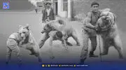 قاب تاریخ| عکس‌های خاص و جالب از یک معرکه‌گیری ‌با خرس