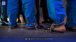 طناب دار؛ ‌ایستگاه پایانی دورهمی‌های دوستانه 