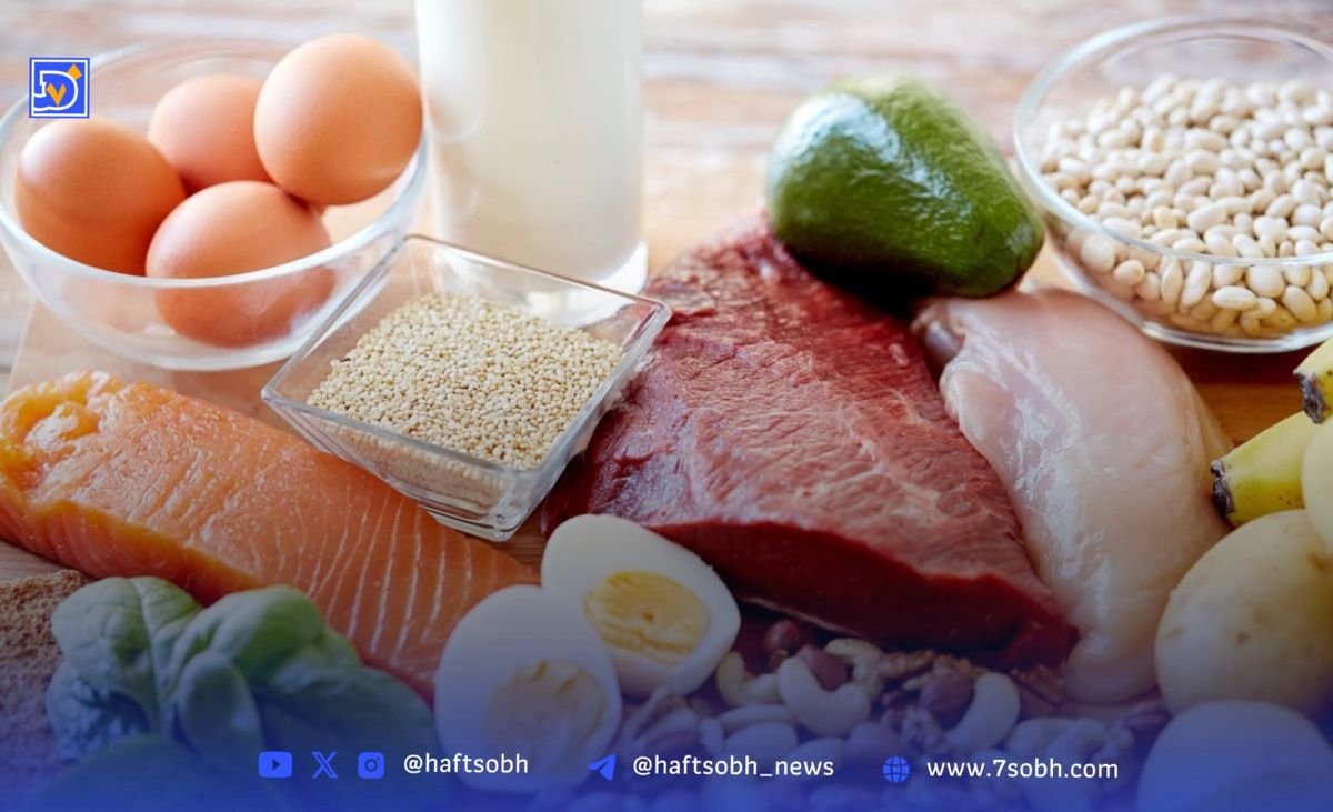روزانه چقدر پروتئین نیاز داریم و آیا مصرف بیشازحد آن مضر است؟