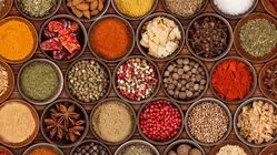 ادویه‌های آشپزخانه؛ چاشنی خوش‌طعم غذا یا داروی شفابخش؟ حقیقتی که باید بدانید