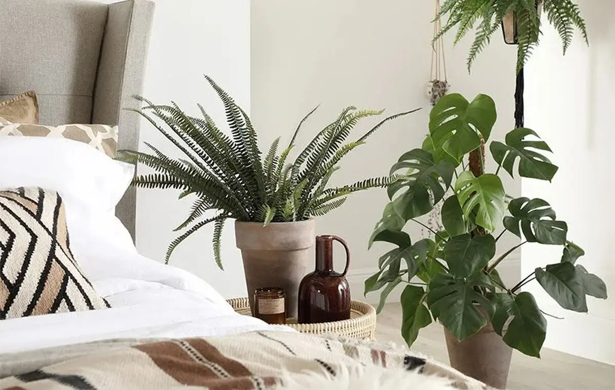بهترین گیاهان برای اتاق خواب؛ با این گلدان‌ها فضای آرام‌تری برای خواب بسازید