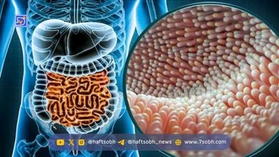 سلامت قلب را با این ماده مغذی تضمین کنید