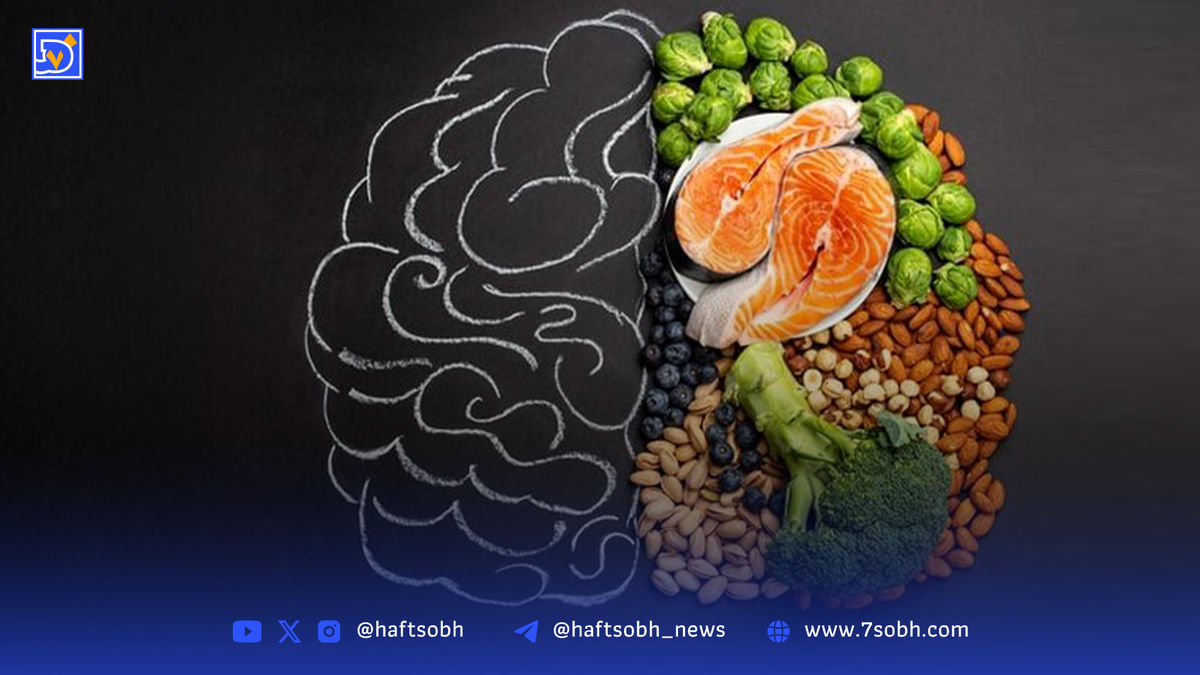 کشف جدید دانشمندان؛ معجزه منیزیم برای سلامت مغز