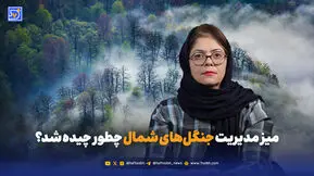  میز مدیریت جنگل‌های شمال چگونه چیده شد؟