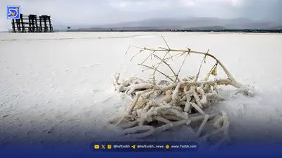 تلف شدن توله پلنگ ایرانی در بشاگرد / اعزام فوری تیم محیط زیست پس از گزارش جوامع محلی