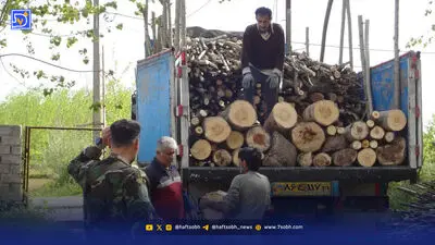 تبعید قاچاقچیان چوب