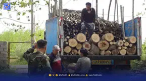 تبعید قاچاقچیان چوب