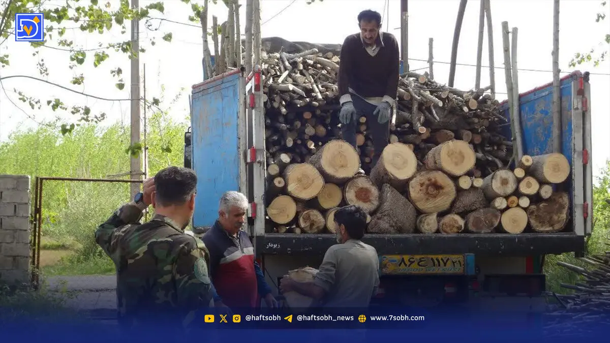 تبعید قاچاقچیان چوب
