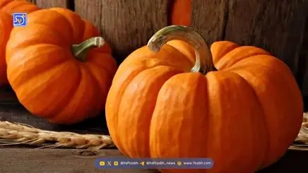 معجزه ای باورنکردنی به نام کدو حلوایی