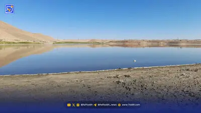 حیوانات برای آب، جان می‌دهند