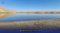 پایان دعوای بزنگان