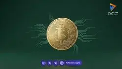  قیمت بیت‌کوین و اتریوم امروز شنبه ۱۴ شهریور ۱۴۰۵/ کاهش قیمت بیت‌کوین 
