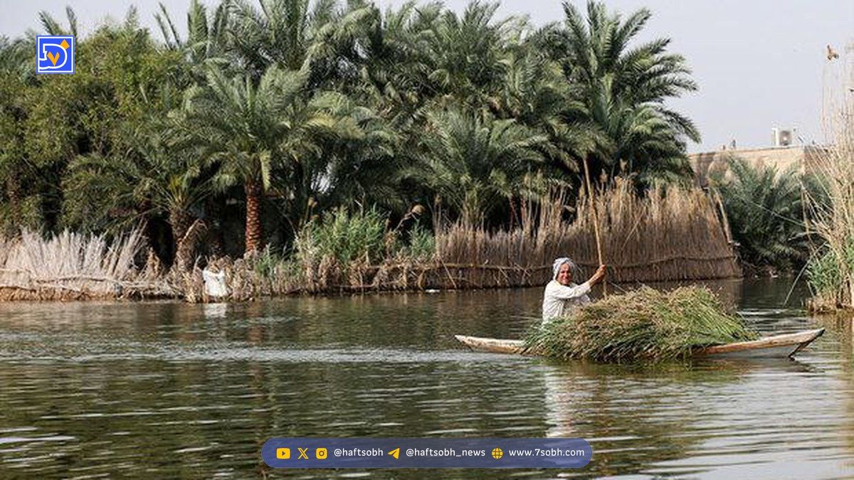 تالاب بینالمللی شادگان، شاهراه توسعه پایدار منطقه