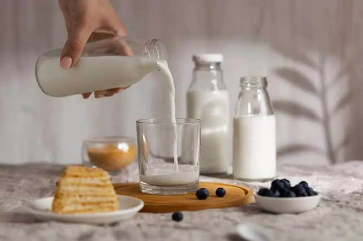 شیر بخوریم یا نخوریم؟ حقیقت درباره فواید و مضرات شیر برای بدن