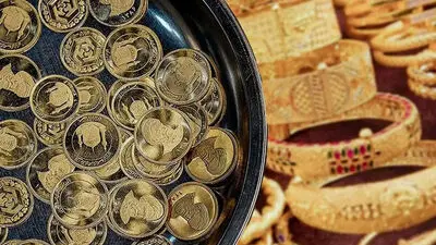 قیمت سکه 4 میلیون بالا رفت / قیمت سکه امروز سه شنبه 31 شهریور 1405