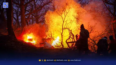 بحران ملی در آتش‌سوزی جنگل‌های الیت
