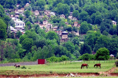 روستای شفیع آباد