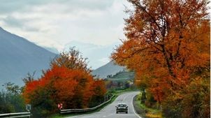 یکطرفه شدن مقطعی محور هراز برای تخلیه بار ترافیکی