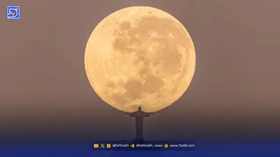 ۸ نقاشی عجیب و با ارزش میلیونی که باید ببینید