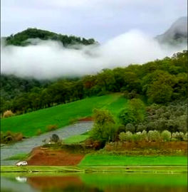 روستای شفیع آباد