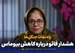 راه نجات جنگل‌ها بازگشت به مدیریت پایدار است؛ هشدار فائو درباره کاهش بیوماس