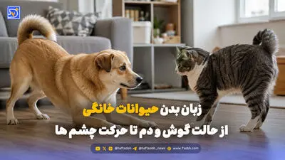 تاثیرات نگهداری از حیوانات خانگی بر کودکان؛ معایب و مزایا