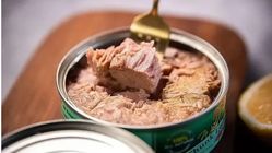 کنسرو تن ماهی گران شد