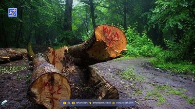 کشف زمین خواری ۳۶۰۰ میلیارد ریالی در چالوس