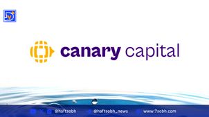 هشدار مدیرعامل Canary Capital: بیت‌کوین تا ۲۷٪ رشد دارد و سپس وارد بازار نزولی می‌شود