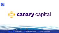 هشدار مدیرعامل Canary Capital: بیت‌کوین تا ۲۷٪ رشد دارد و سپس وارد بازار نزولی می‌شود