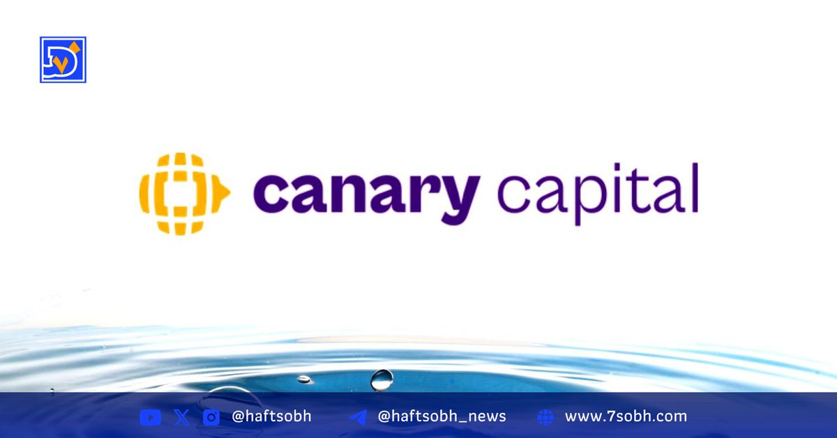 هشدار مدیرعامل Canary Capital: بیتکوین تا ۲۷٪ رشد دارد و سپس وارد بازار نزولی میشود