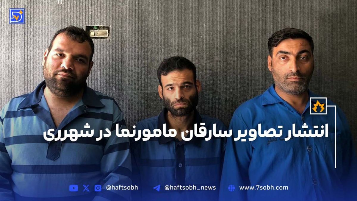 دستور قضایی مبنی بر انتشار تصاویر سارقان مامورنما در شهرری
