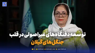 مرداد و شهریور، زمان اوج تعارض با خرس‌ها