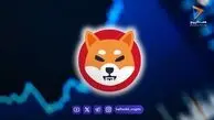 حرکت بزرگ دارندگان SHIB؛ خروج ۱۱۰ میلیارد شیبا از صرافی‌ها خبرساز شد