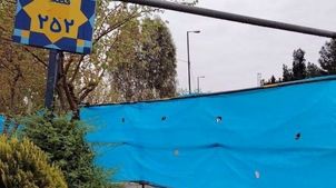 صفر تا صد کشف گنج با شکوه در قطعه ۲۵۲ بهشت زهرا 