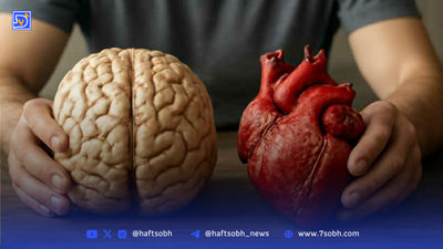 منابع دارویار باید از سازمان هدفمندی جدا شود