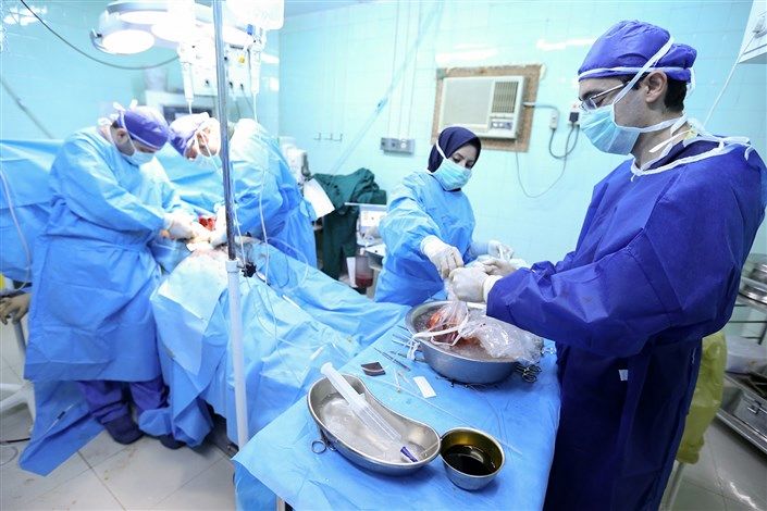 جراحی عجیب پیوند عضو برای اولین بار در کشور