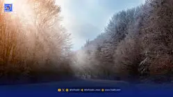 گرمای بی‌سابقه در راه زمستان ۱۴۰۴