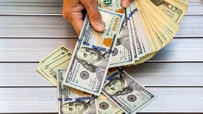 قیمت جدید دلار، یورو و درهم در بازار رسمی/ قیمت دلار باز هم ریخت