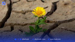 یادداشت| بازگشت به زندگی از مسیر مرگ استعاری