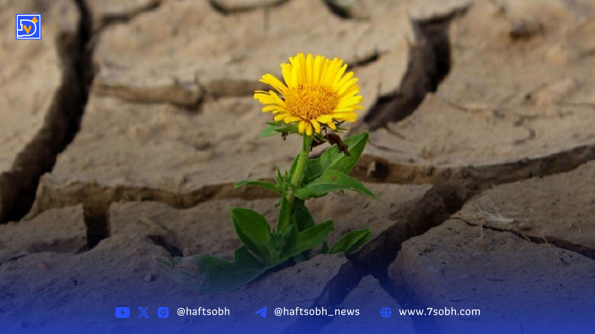 یادداشت| بازگشت به زندگی از مسیر مرگ استعاری