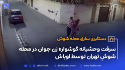 سرقت وحشیانه گوشواره زن جوان در محله شوش تهران توسط اوباش