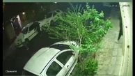 ببینید | ورود مسلحانه سارقان به یک خانه برای سرقت در غرب تهران
