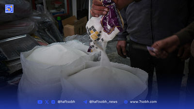 مصرف این سبزیها میتواند از سفیدشدن موها جلوگیری کند