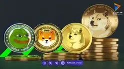 قیمت میم کوین ها امروز ۲۰ شهریور ۱۴۰۵ 