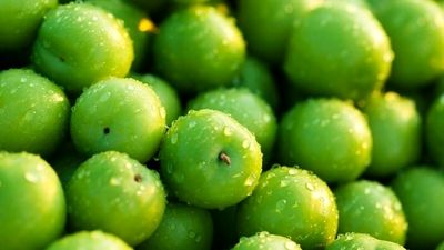 پس از گوجه سبز و چغاله بادام، گیلاس با قیمت میلیونی به بازار عرضه شد